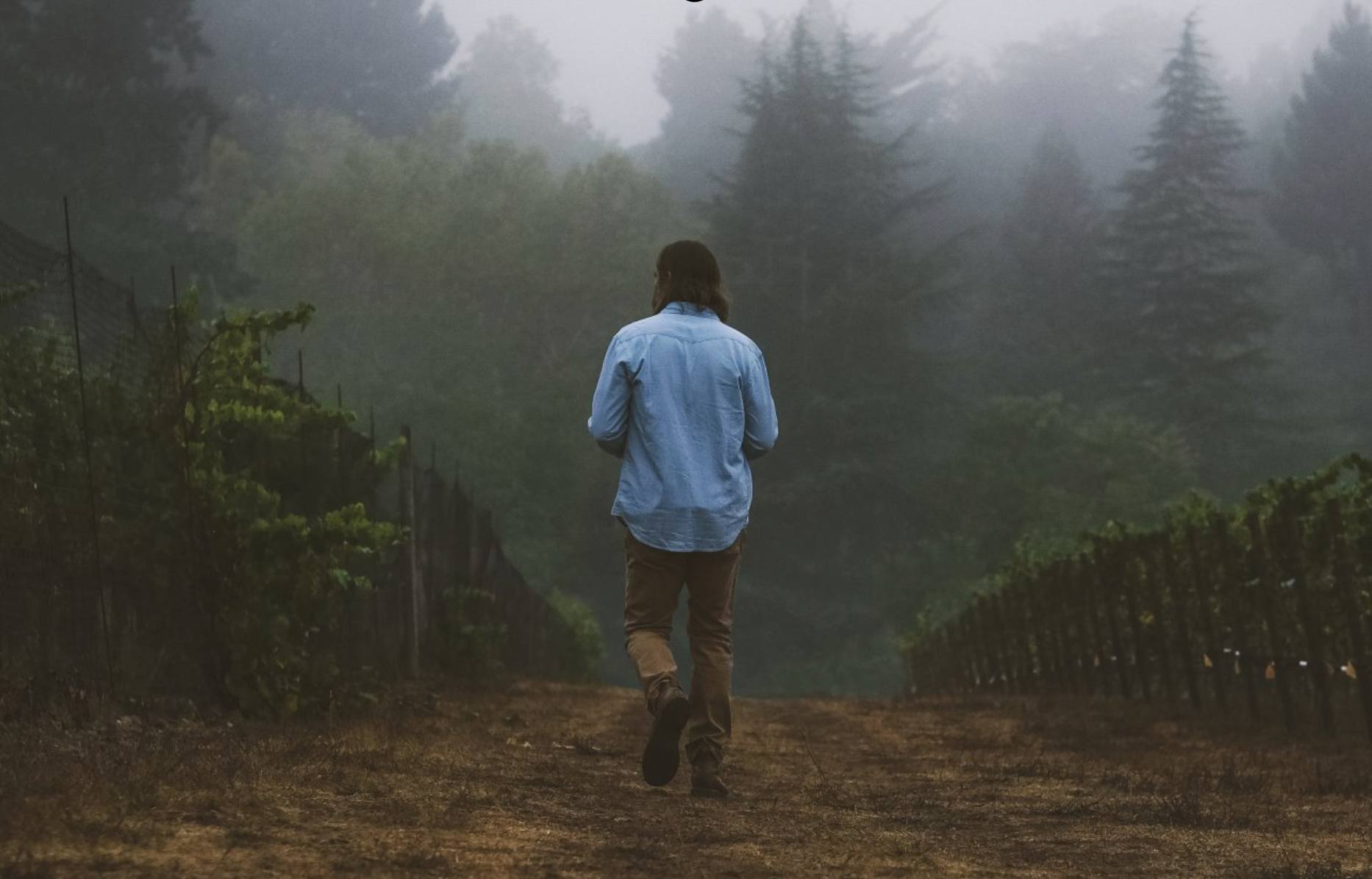 Reeve Wines: California Classic—Friday June 27th