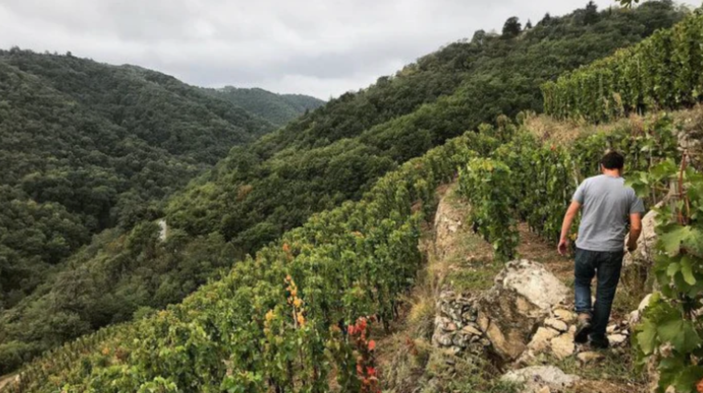 Jean-Louis Chave: Hero of Hermitage