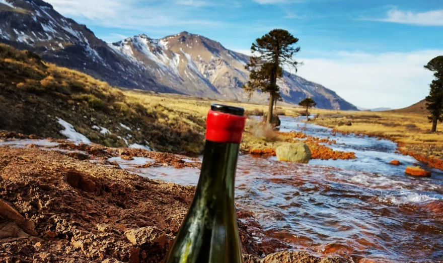 Bodega Chacra: Iconic Wines from the End of the World—Friday, August 22nd