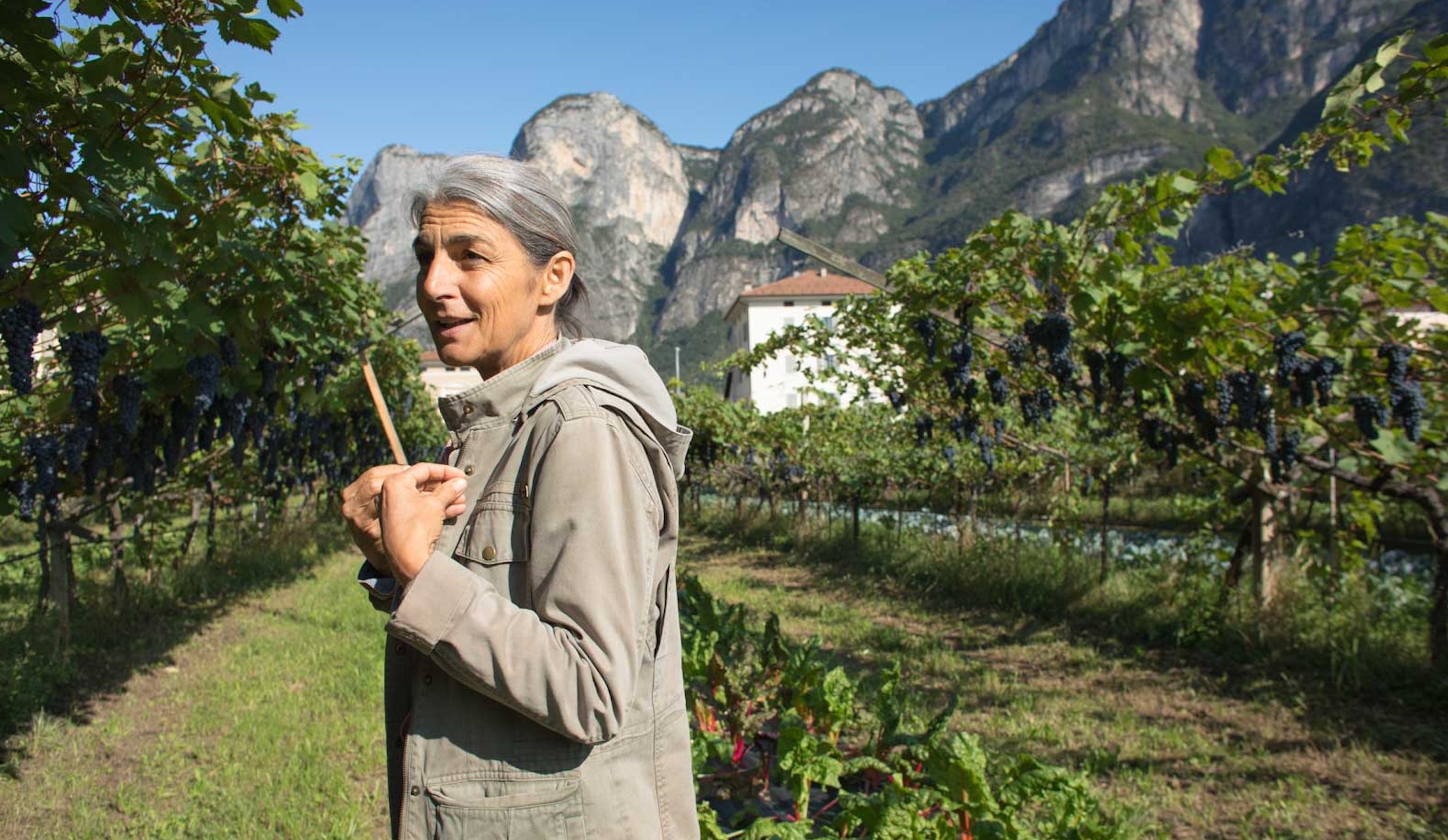 Foradori: Trailblazer in the Dolomites—Thursday, August 28th