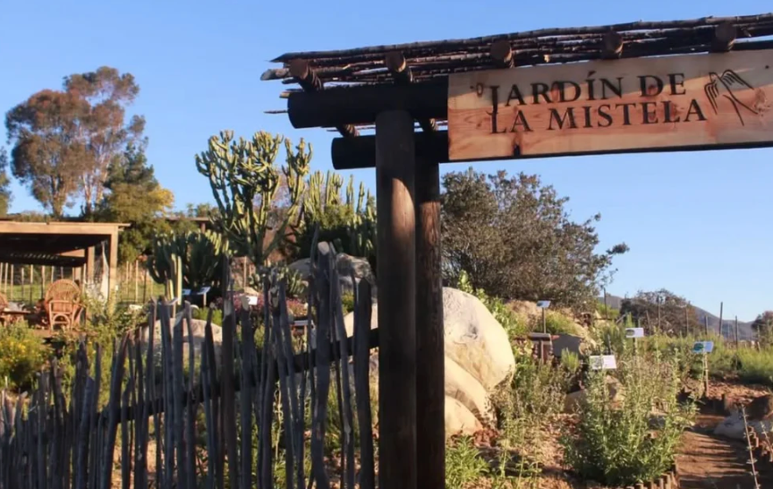 Vinos Pijoan & Fractura: Mexico's Wine Renaissance—Friday, October 17th