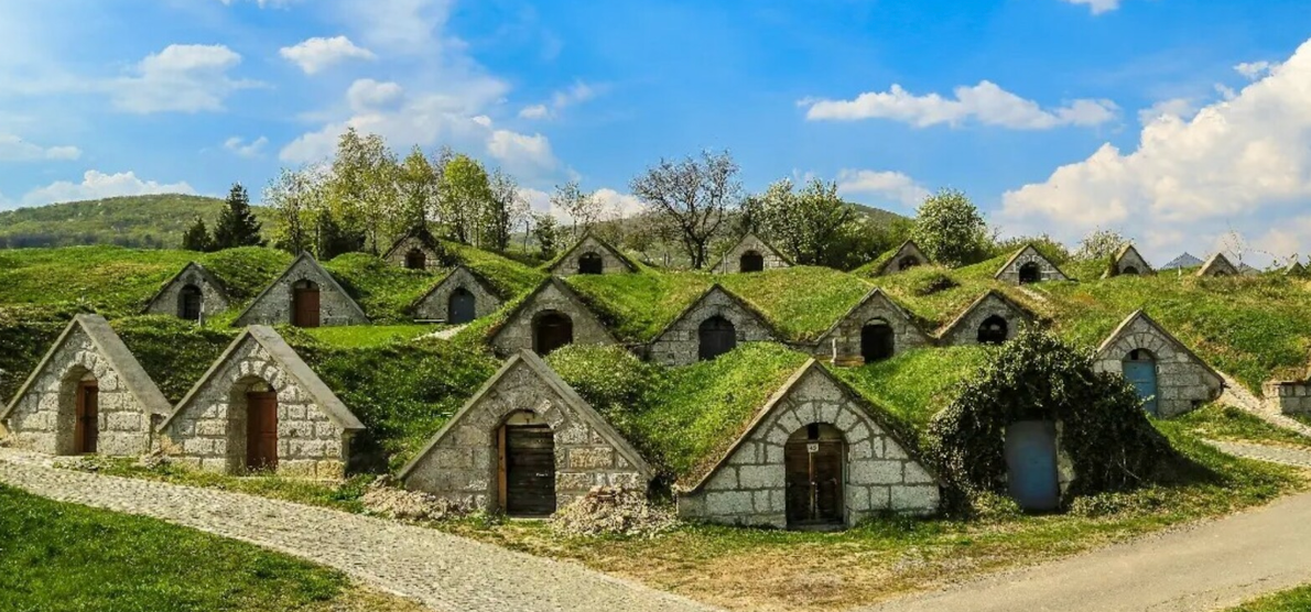Sziegl: Reawakening a Hungarian Village Through Viticulture