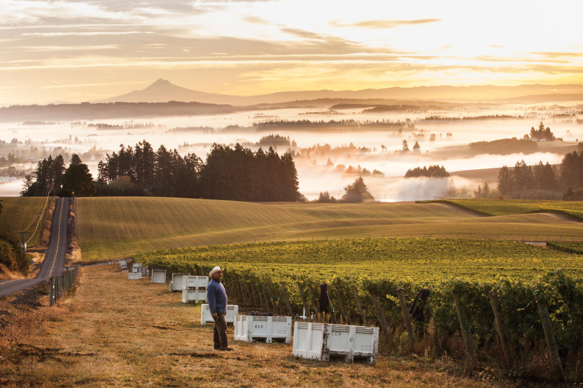 Goodfellow: The Best of the Willamette Valley—Friday, November 21st