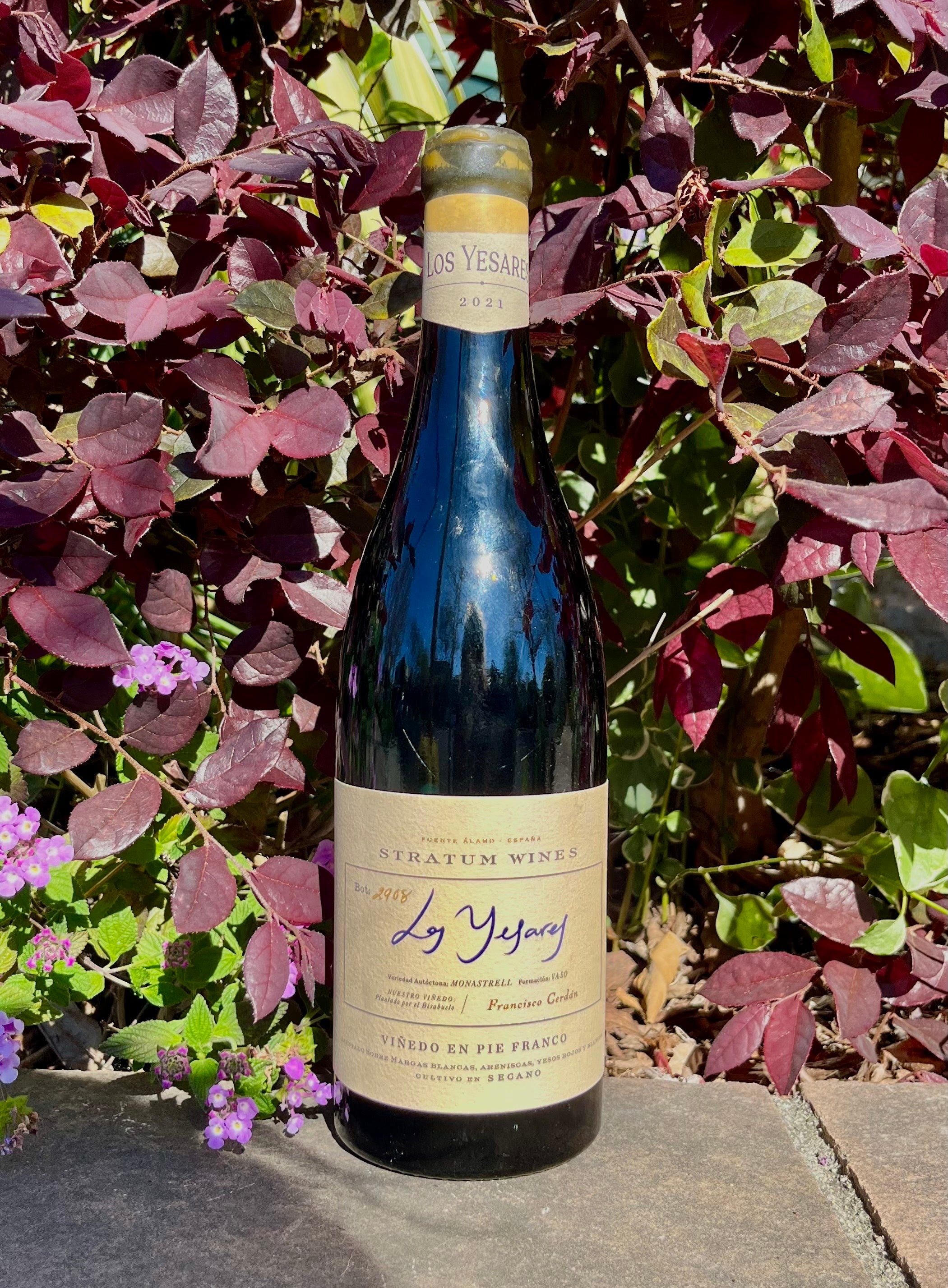 2021 Bodega Cerrón Stratum Wines Los Yesares