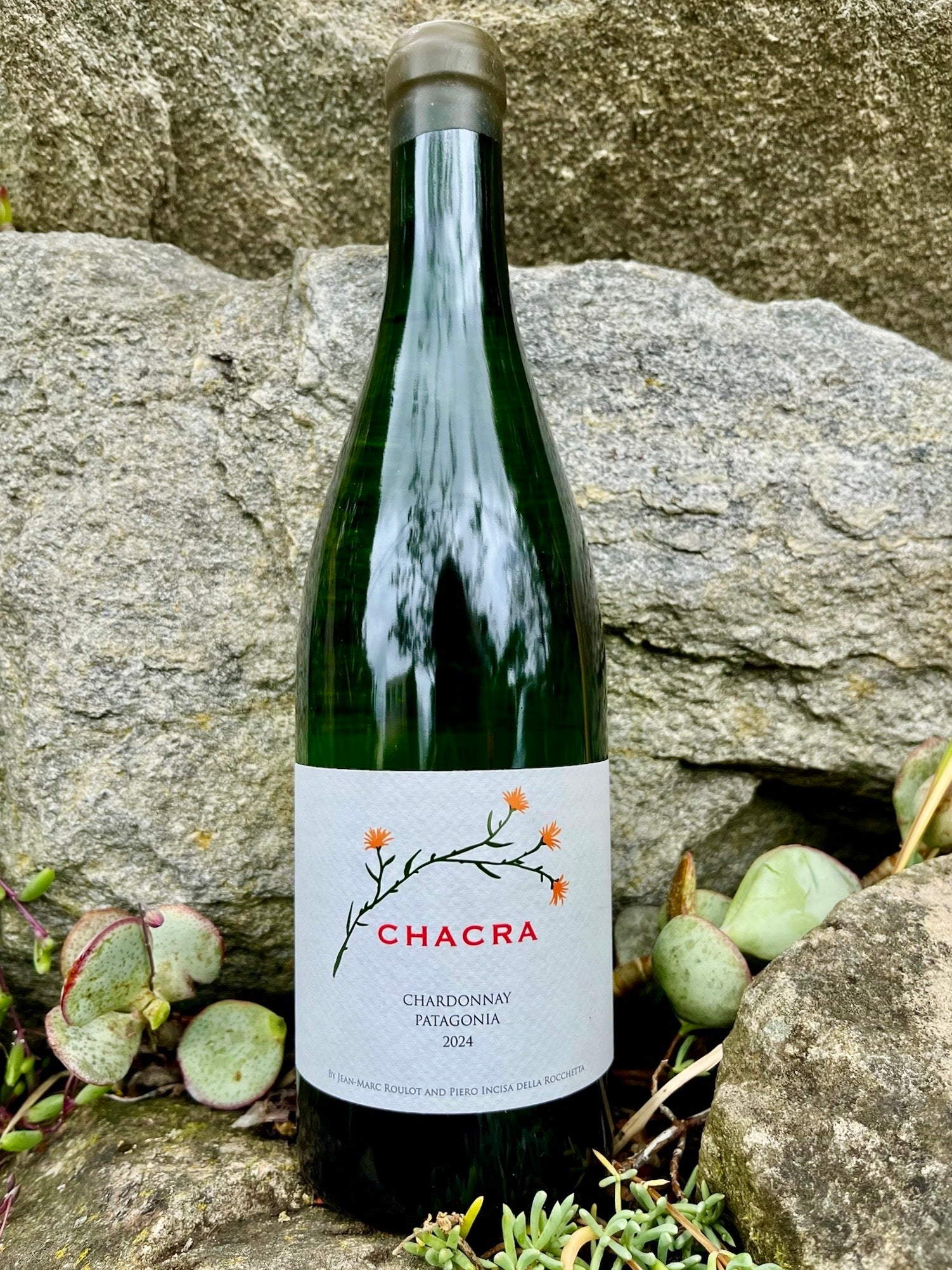 Bodega Chacra Chardonnay