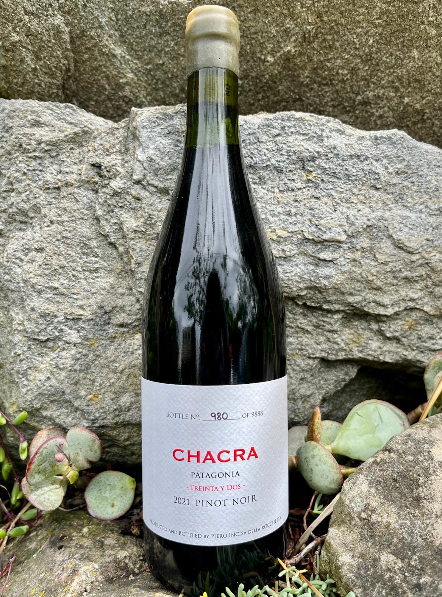 Bodega Chacra Pinot Noir 'Treinta y Dos'