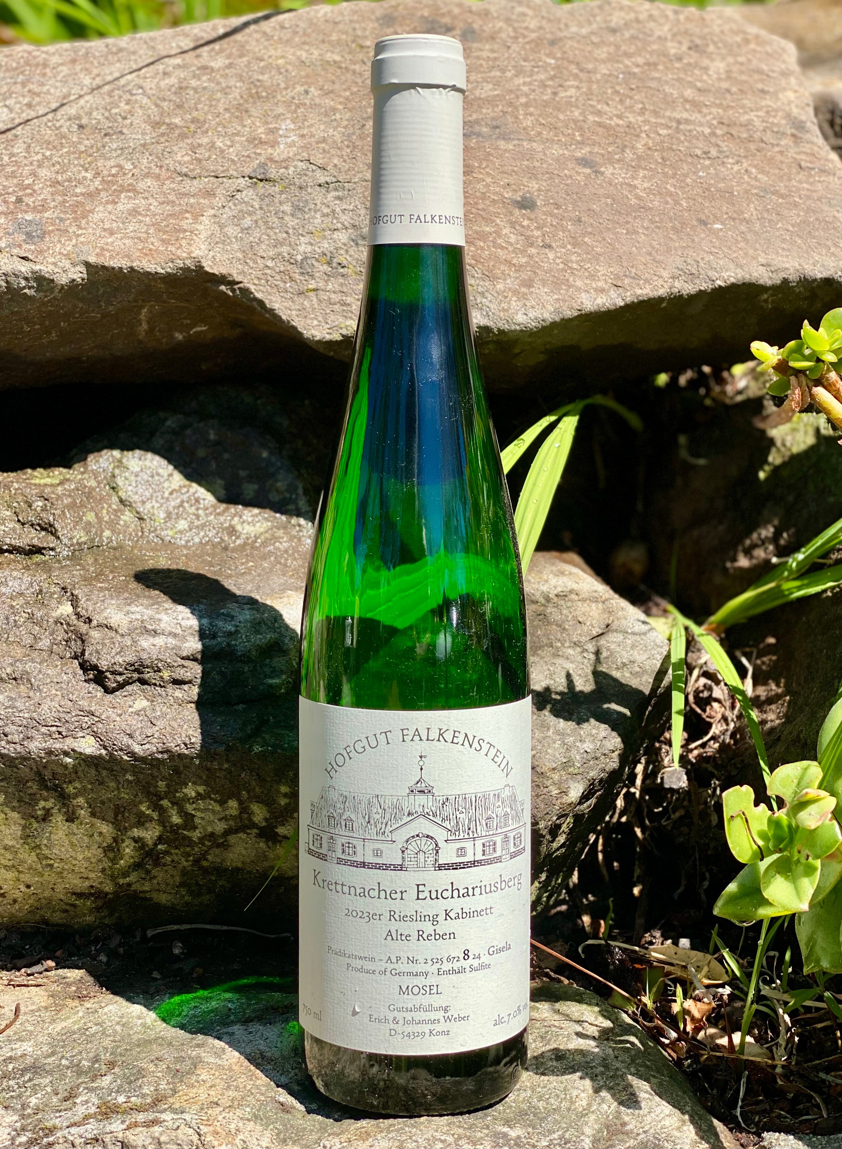 2024 Hofgut Falkenstein Krettnacher Euchariusberg Riesling Kabinett Alte Reben 'Gisela'