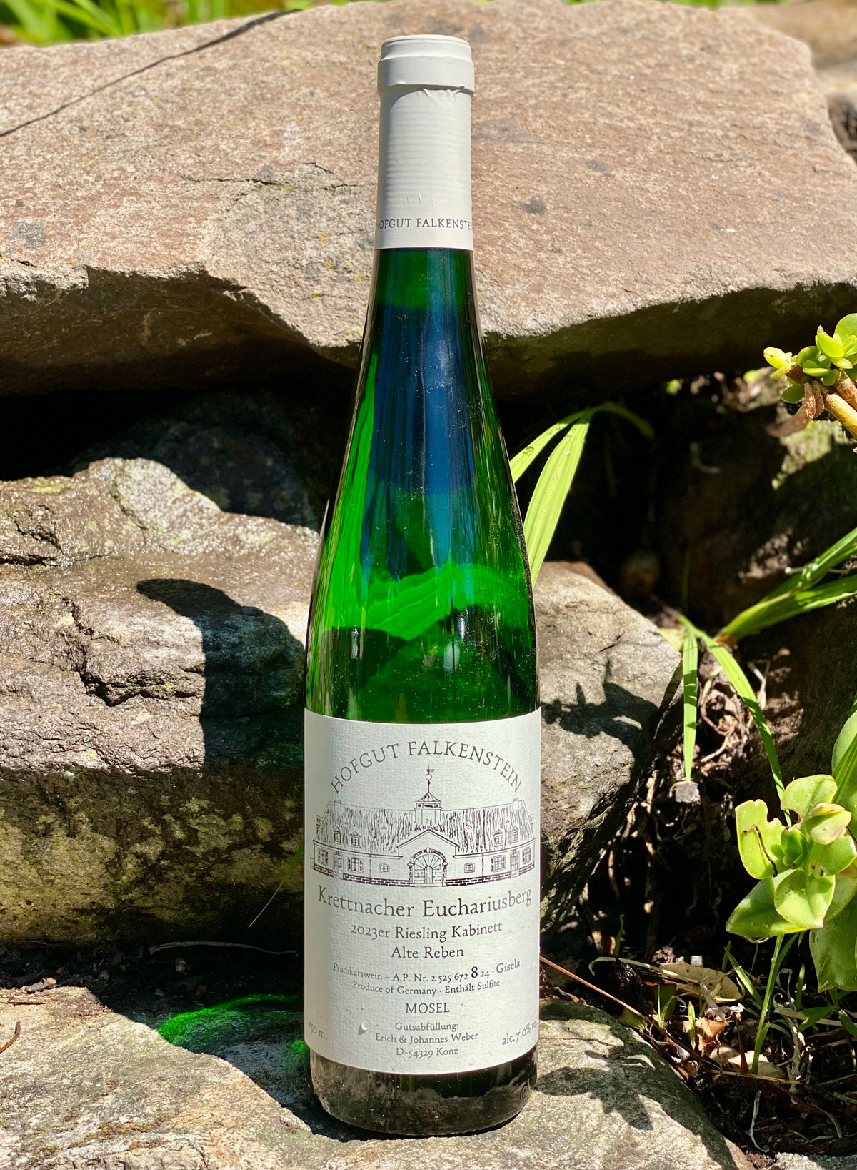 2025 Hofgut Falkenstein Niedermenniger Herrenberg Riesling Kabinett “Trocken”