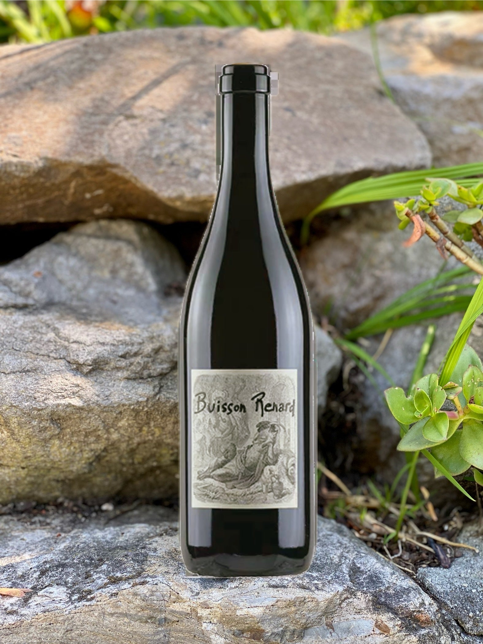 2023 Domaine Didier Dagueneau “Buisson-Renard”