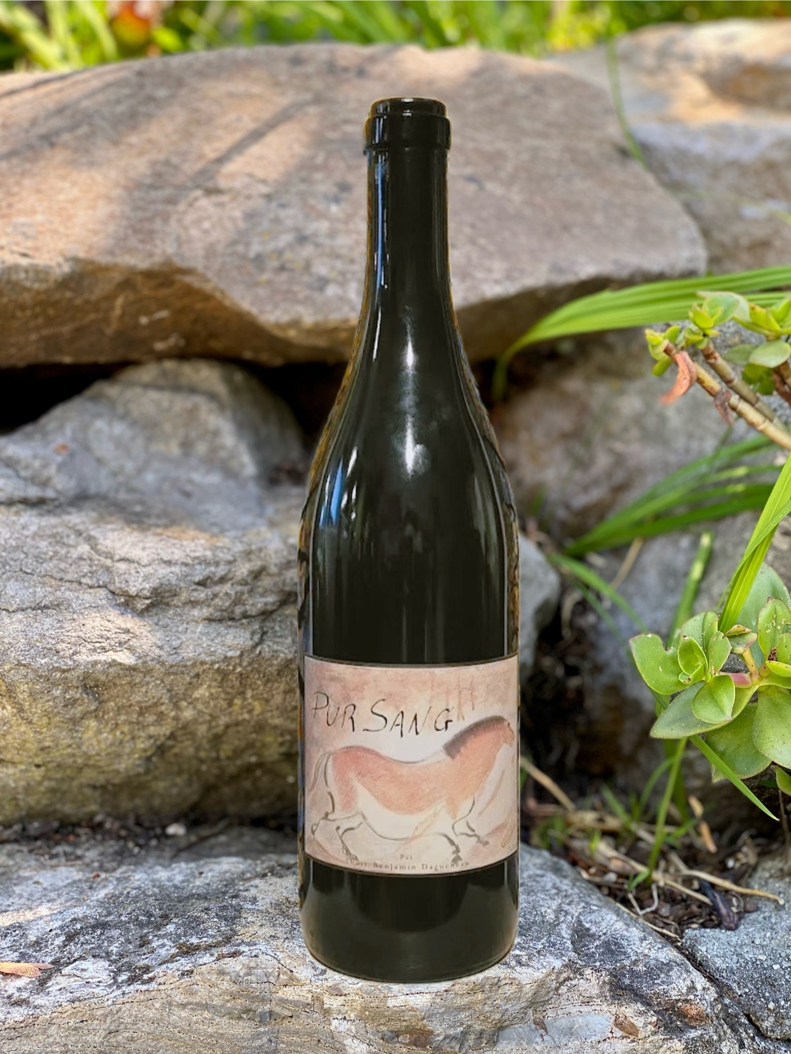 2023 Domaine Didier Dagueneau “Pur Sang”