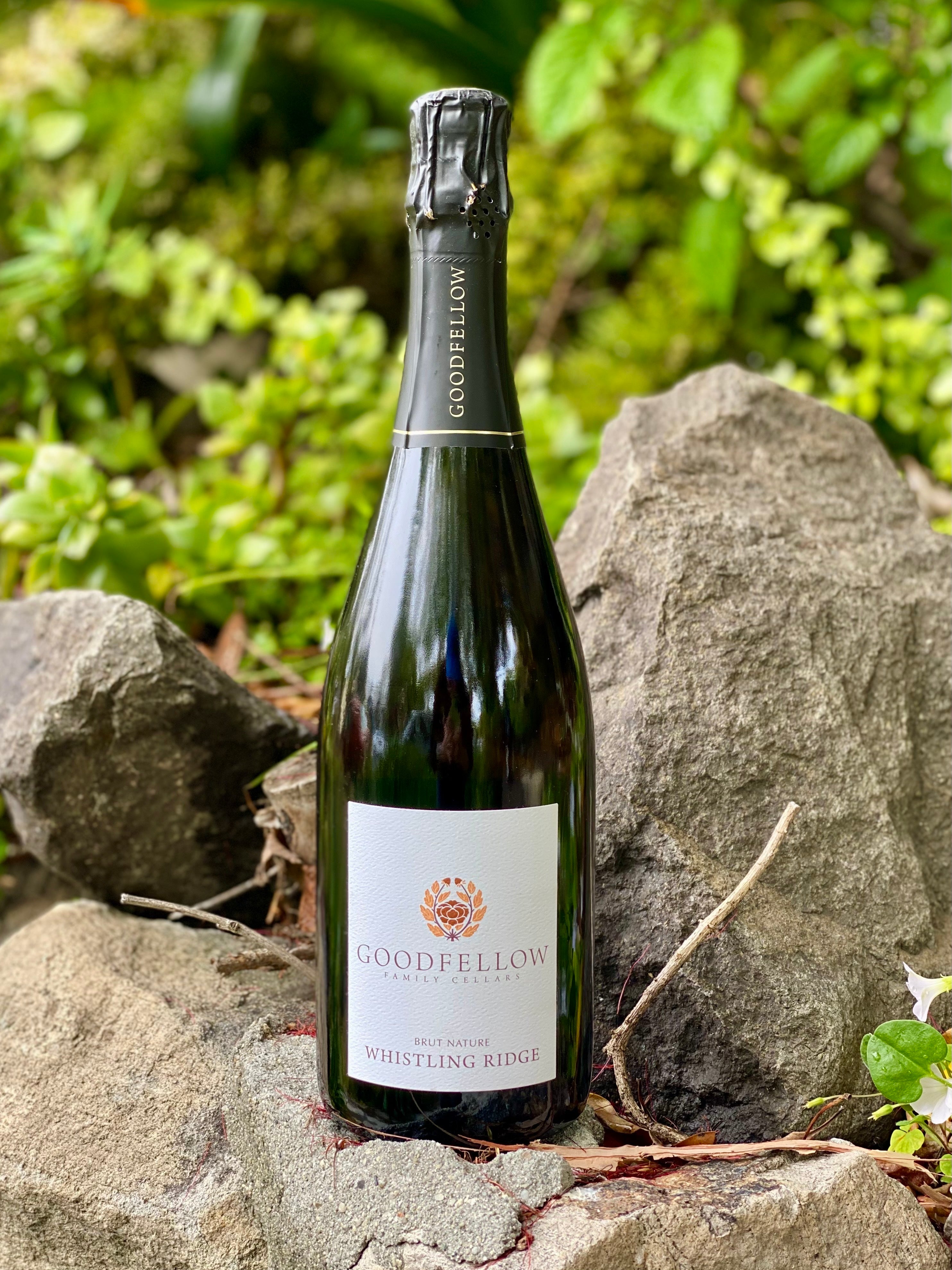 2022 Goodfellow Family Blanc de Gris Whistling Ridge