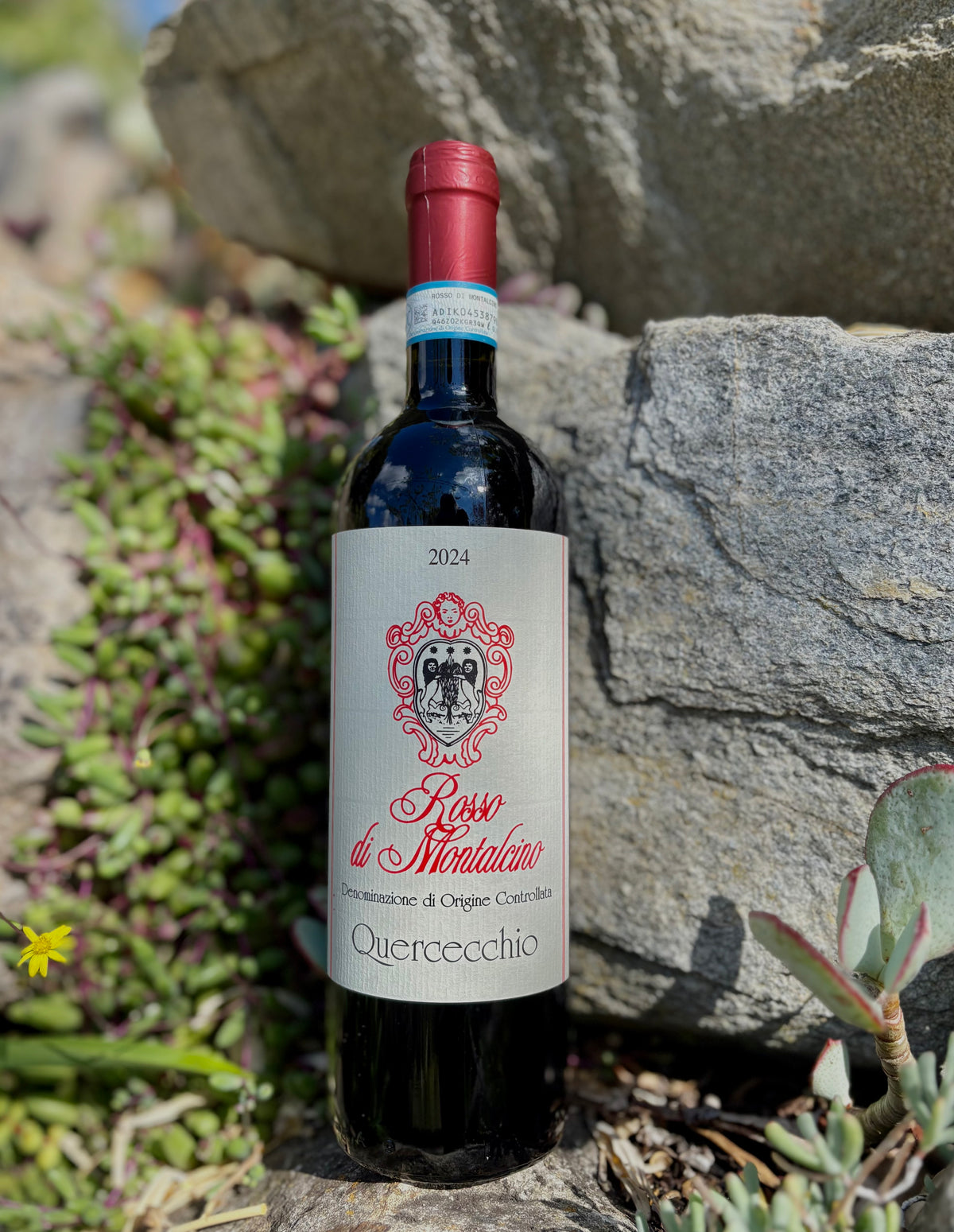 2024 Quercecchio Rosso di Montalcino