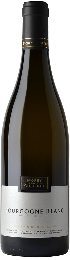 2023 Domaine Morey-Coffinet Bourgogne Blanc