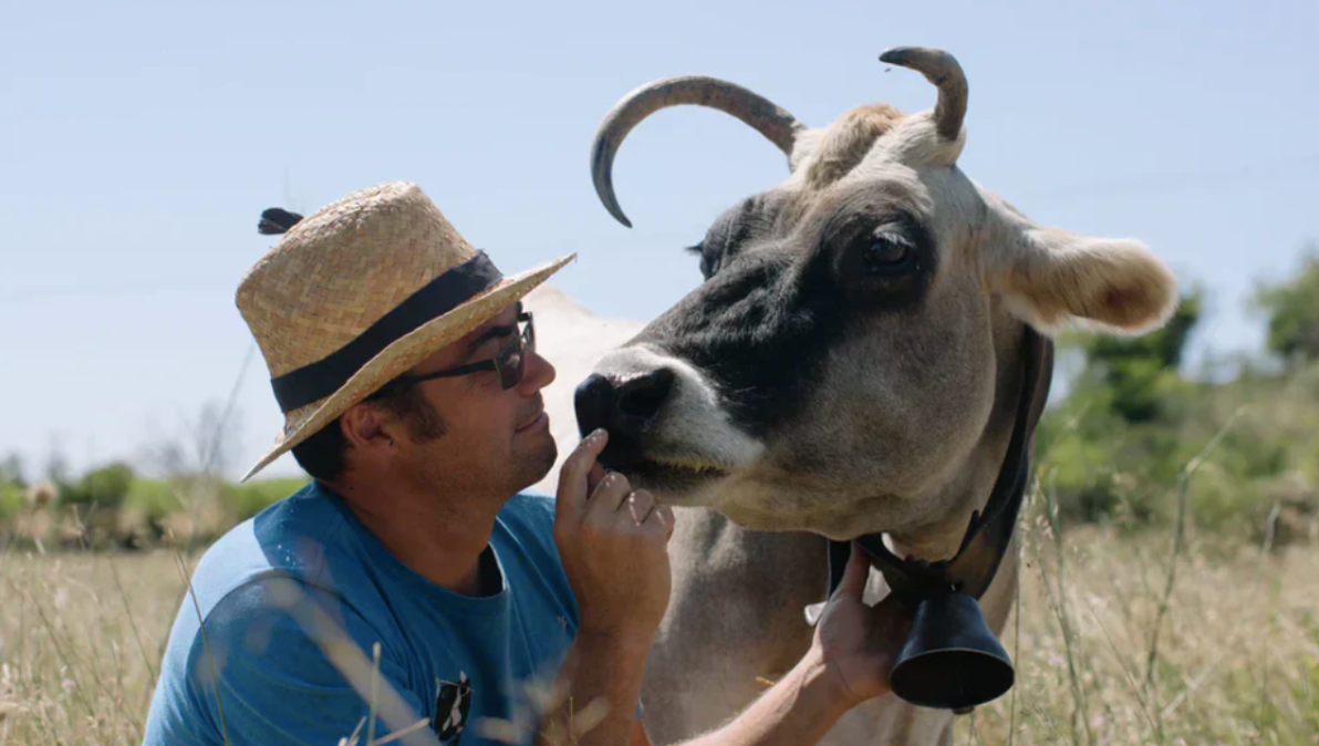 Olivier Pithon: Côtes Catalanes' Master of Terroir
