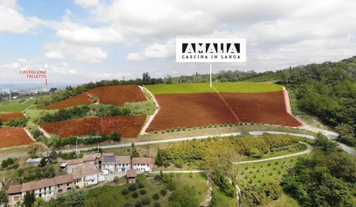 The Vintage Everyone Wanted:  2016 Bussia Barolo