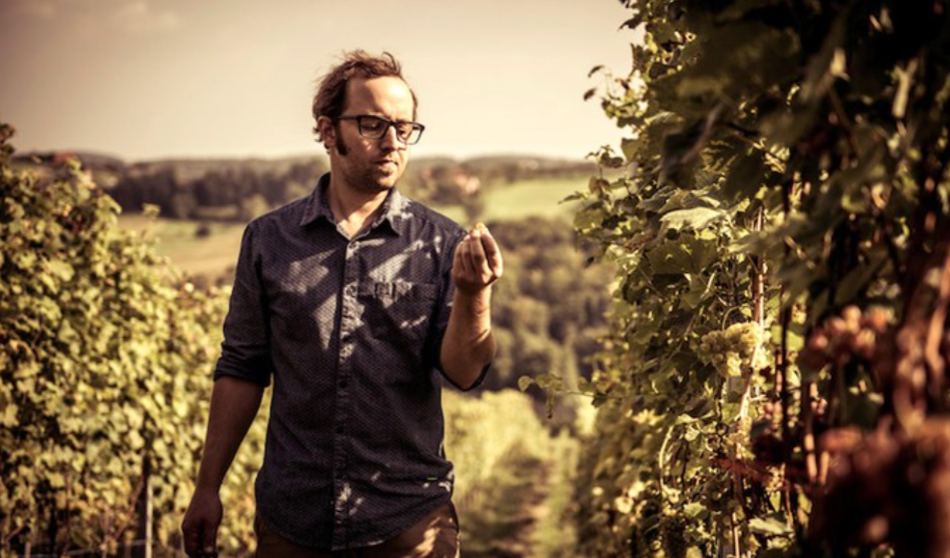 The Most Chablis Wine, That Isn’t Chablis...1000km East of Chablis