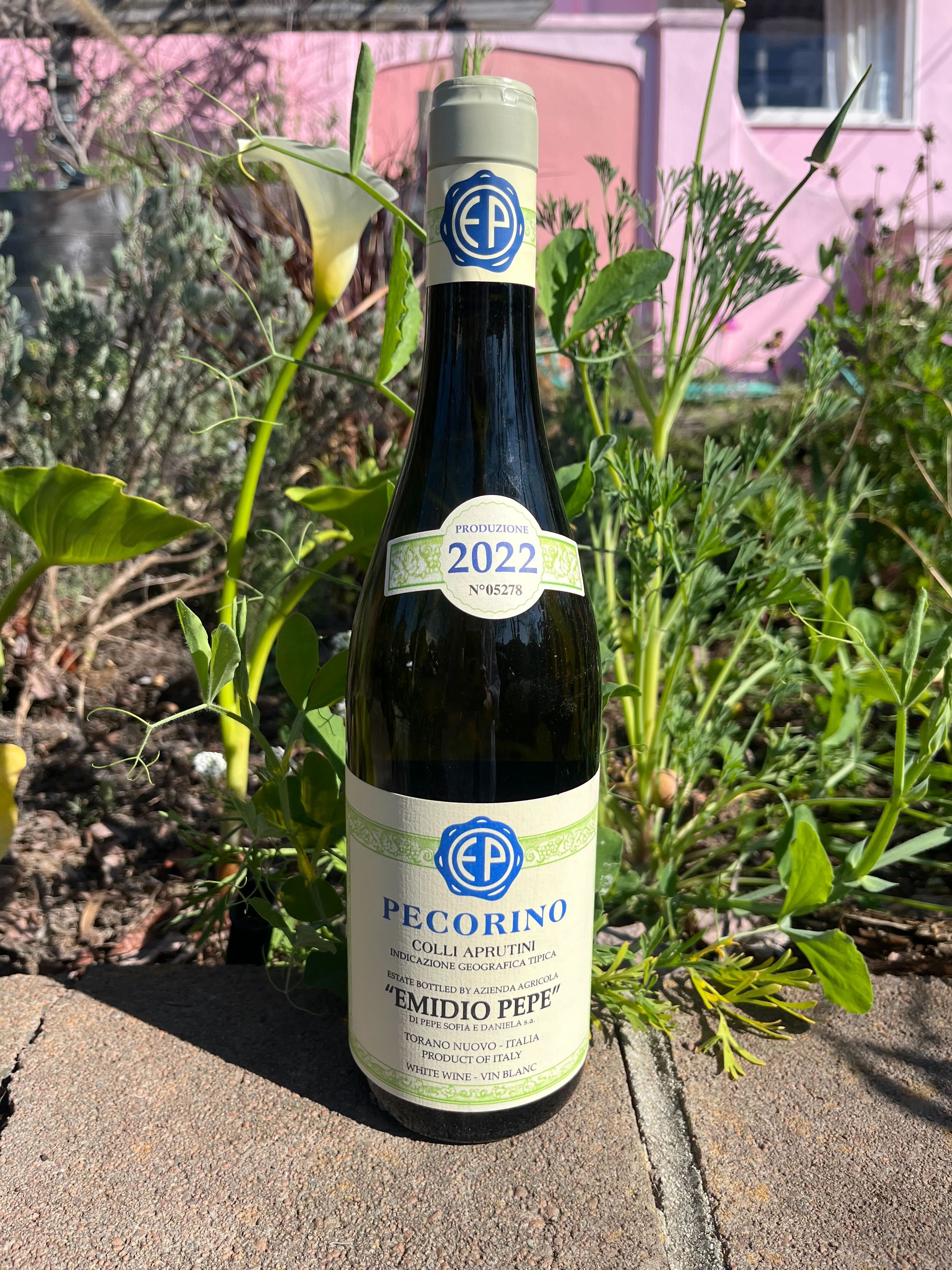 2022 Emidio Pepe Pecorino Colli Aprutini IGT