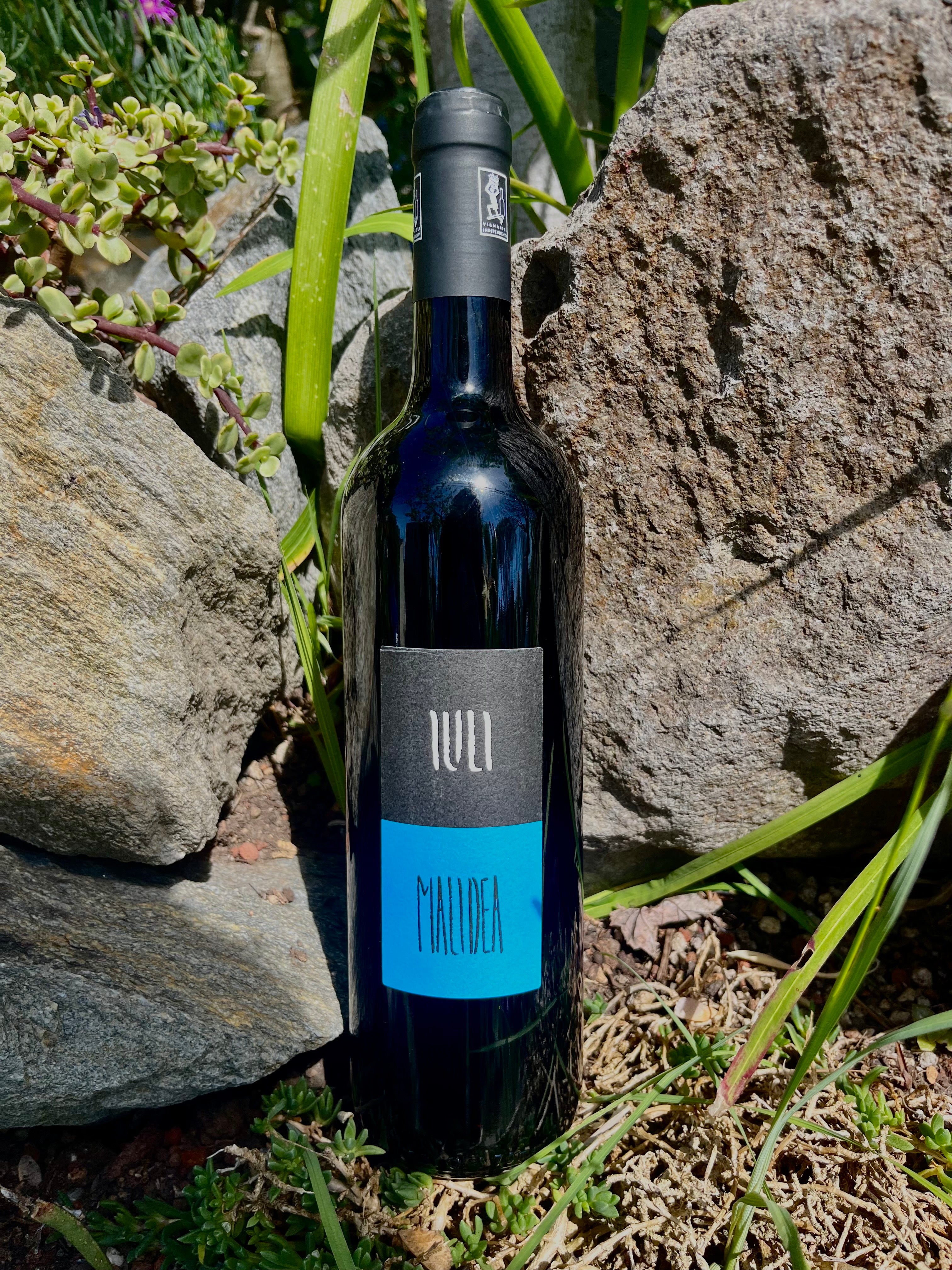 2021 Cascina Iuli Nebbiolo 'Malidea'