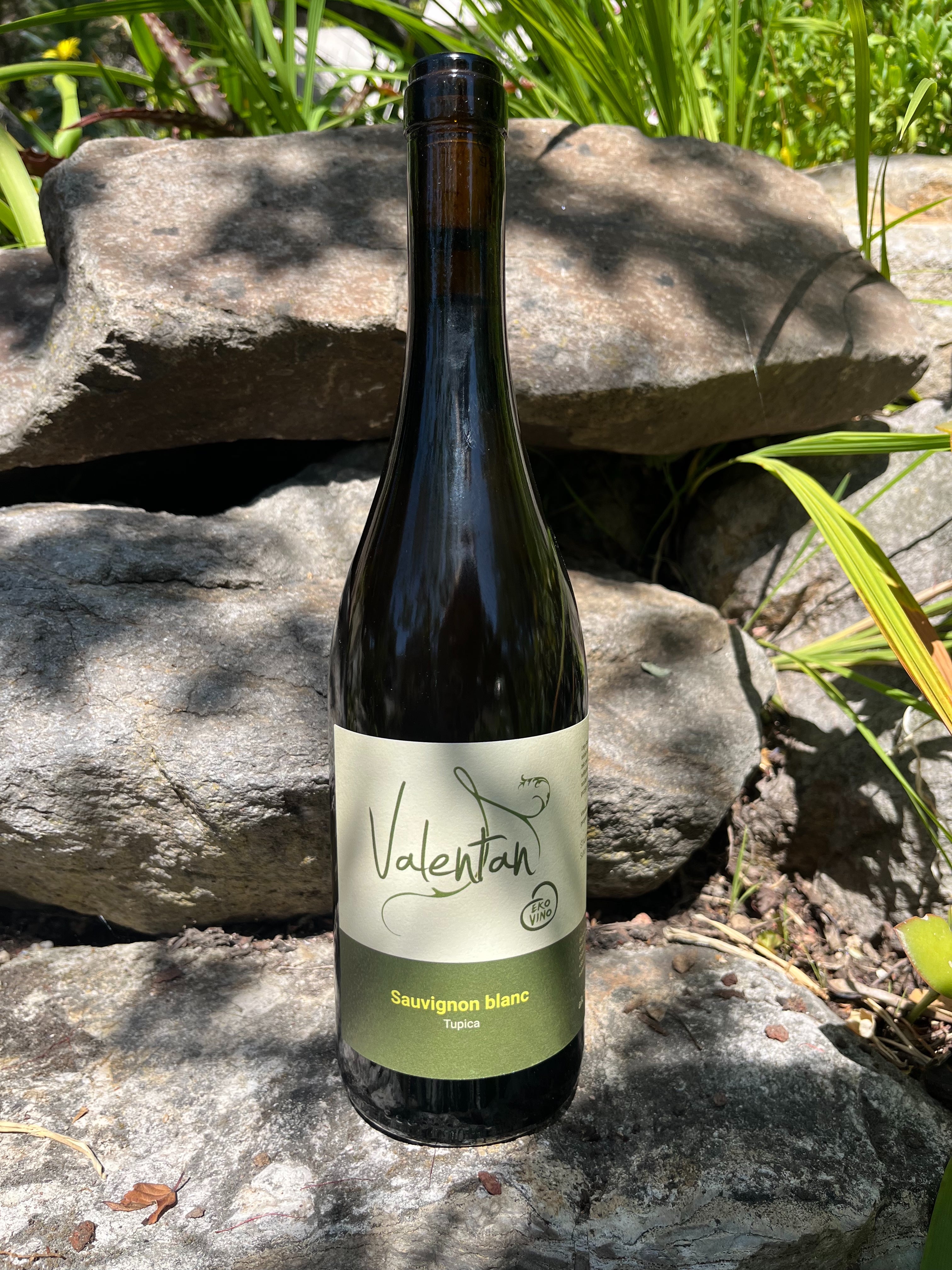 2018 Valentan Sauvignon Blanc
