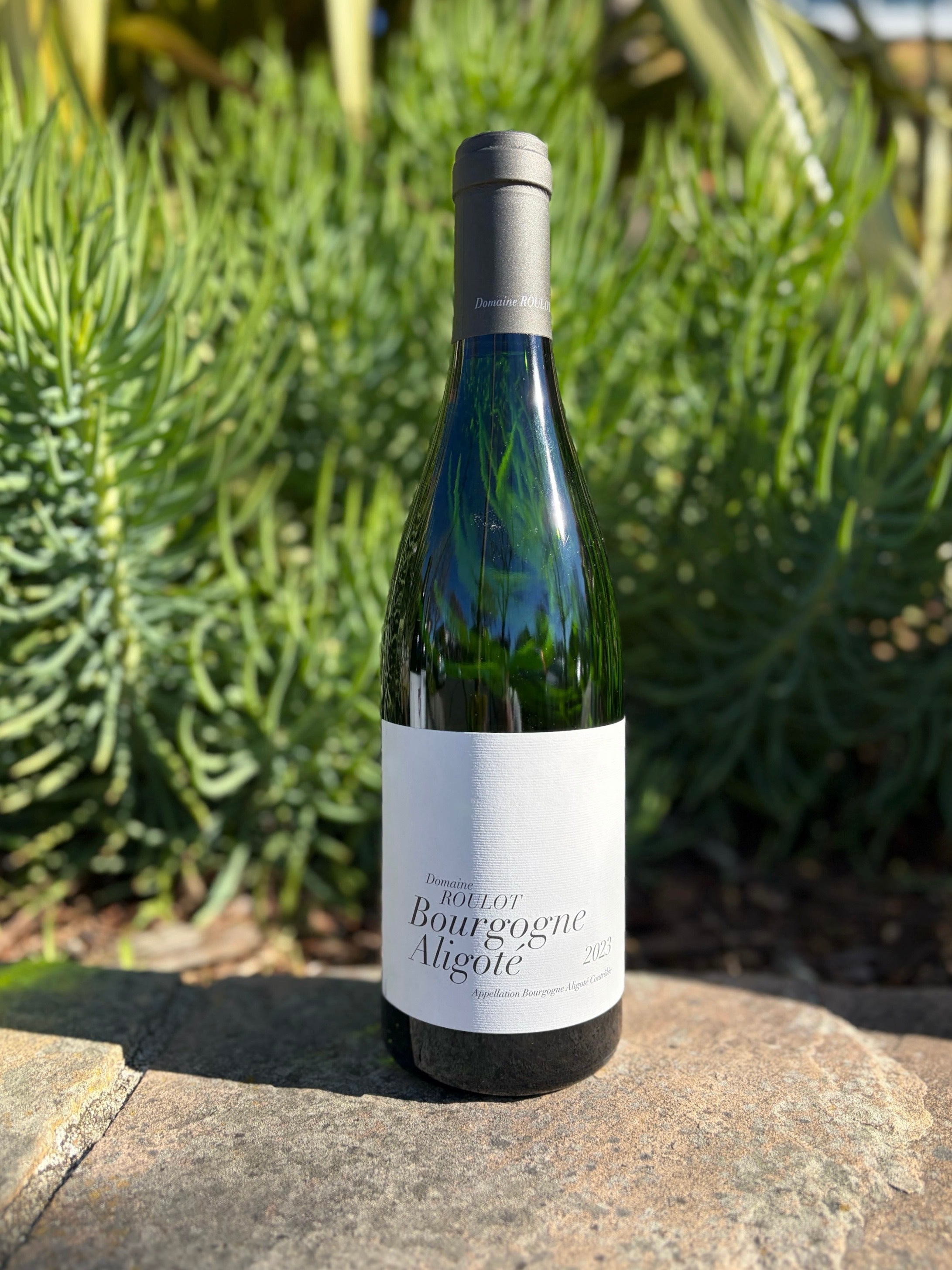 2023 Domaine Roulot Bourgogne Aligote