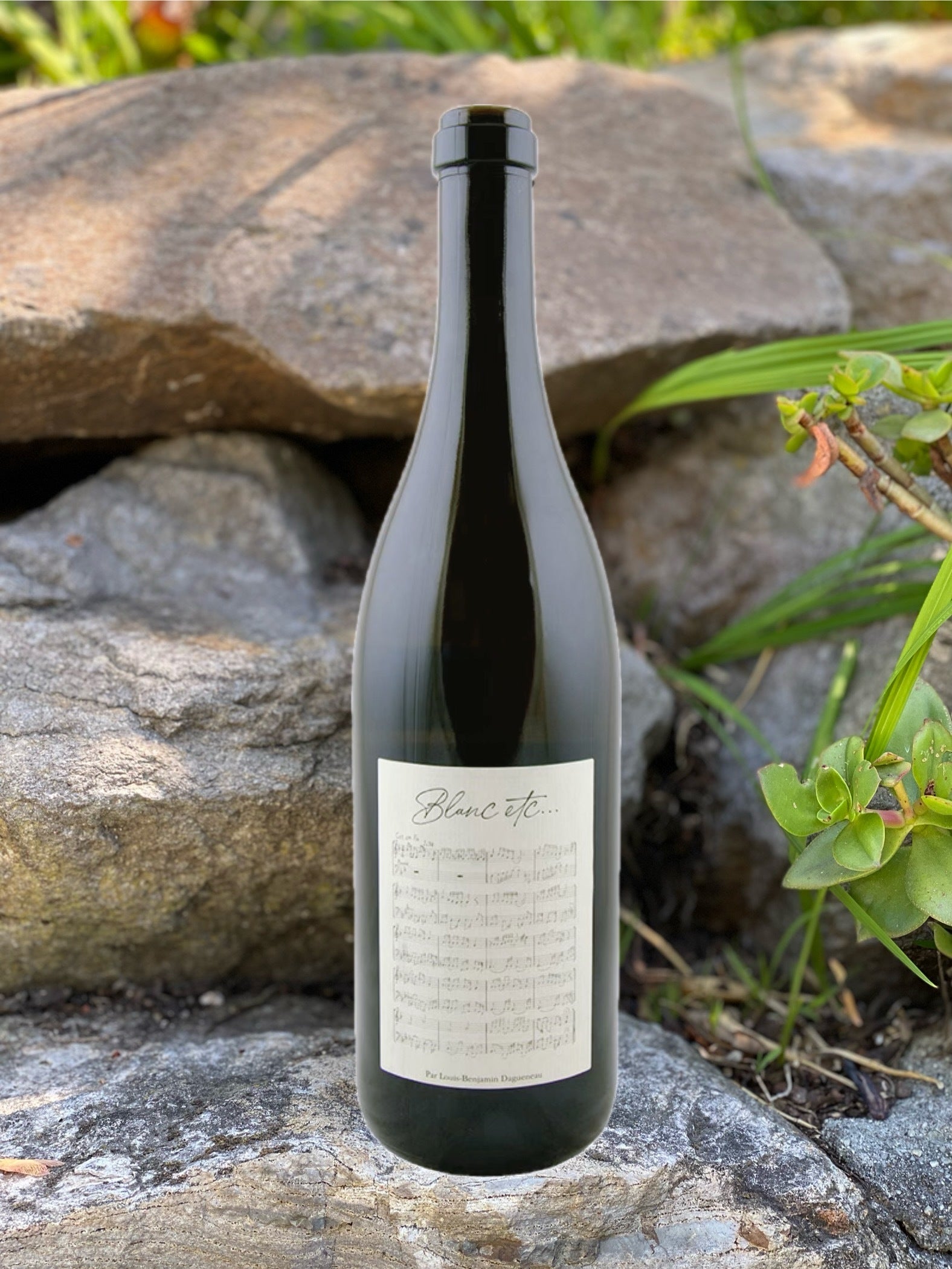 2023 Domaine Didier Dagueneau “Blanc etc…”