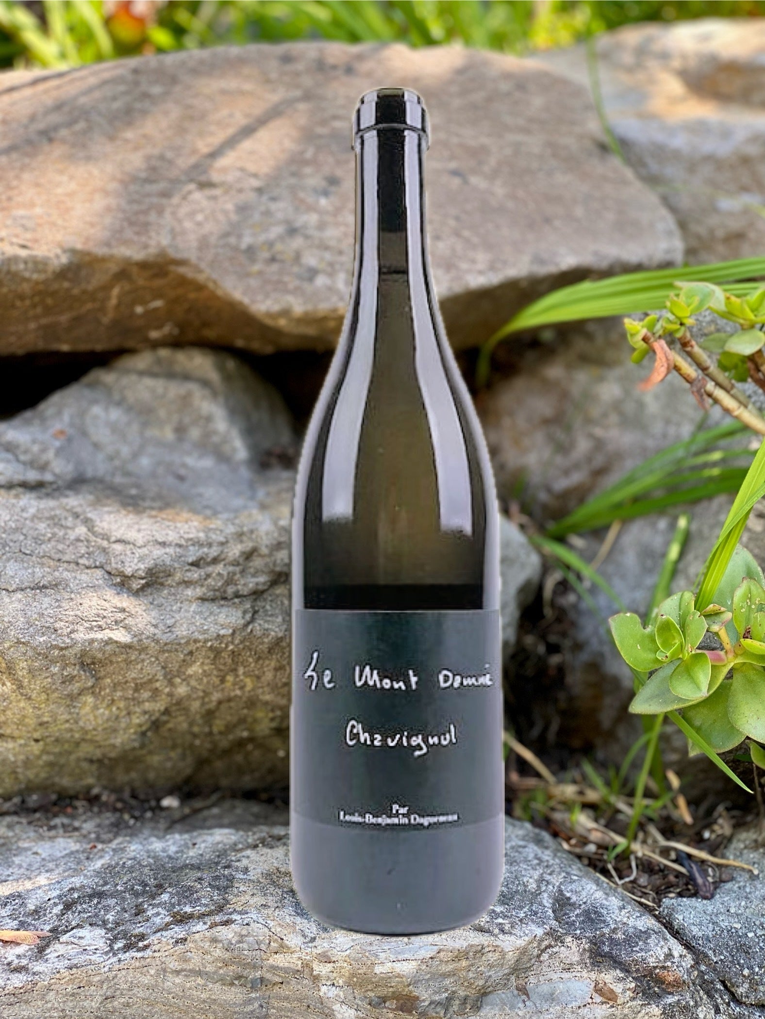 2023 Domaine Didier Dagueneau Sancerre-Chavignol “Mont Damné”